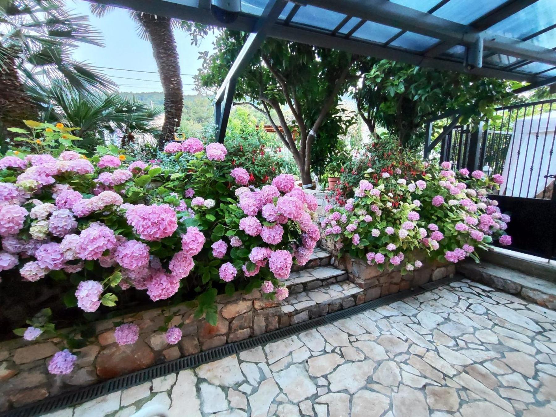 Vacation House Orange Veli Losinj Ngoại thất bức ảnh
